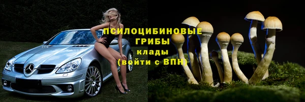 Альфа ПВП Баксан