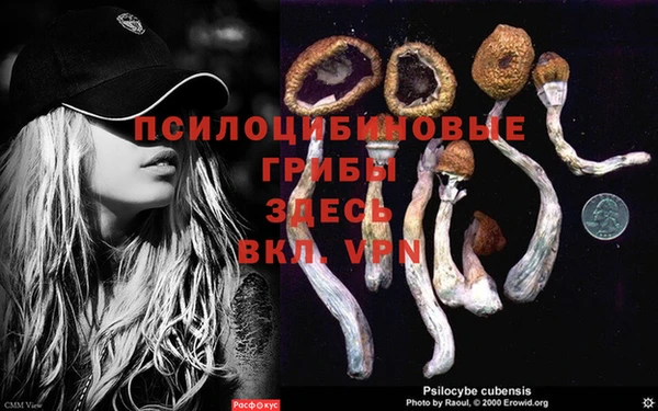 кристаллы Елабуга