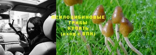 кокс Дмитриев