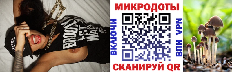 Псилоцибиновые грибы Psilocybine cubensis Коммунар