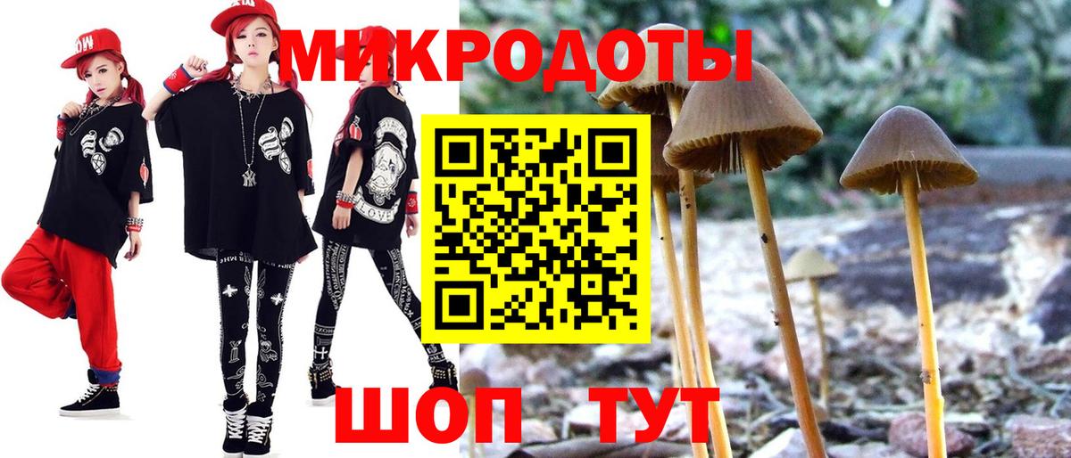 Псилоцибиновые грибы Psilocybe Коммунар
