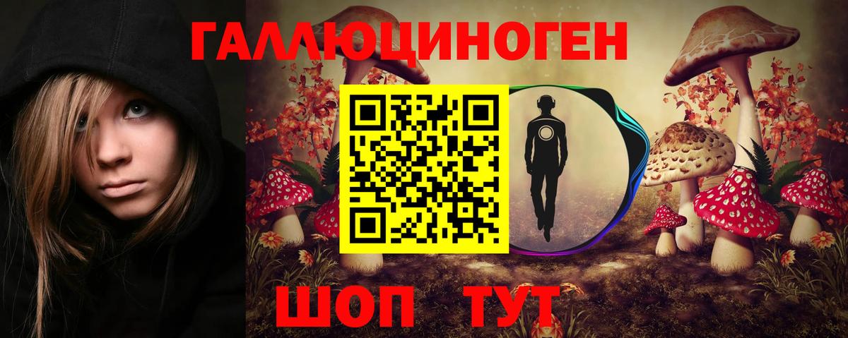 Коммунар  Галлюциногенные грибы прущие грибы  Вход с VPN 